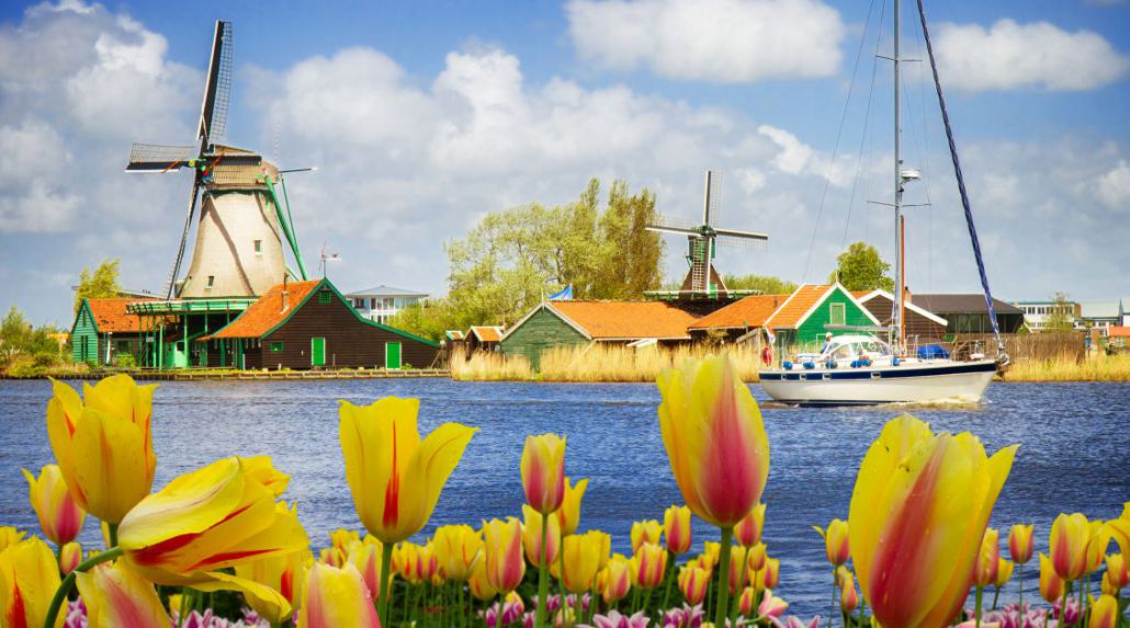 The Netherlands in Bloom With Barb Crowe